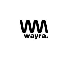 Telefónica’s Startup-Accelerator Wayra