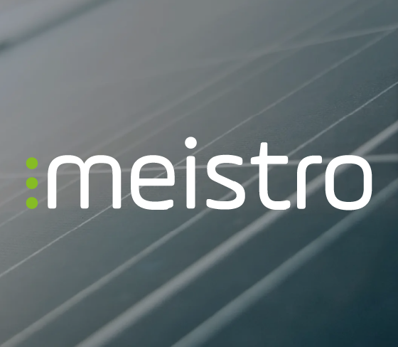 meistro in conversation with ntv<!—:—>